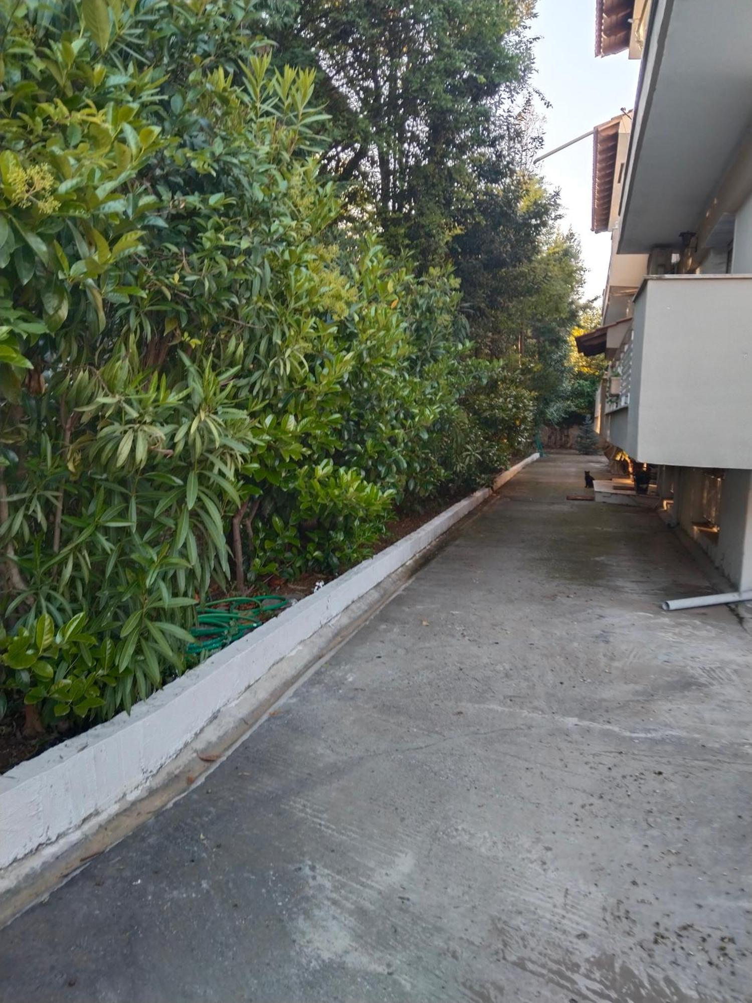 Olga's Apartment3 *